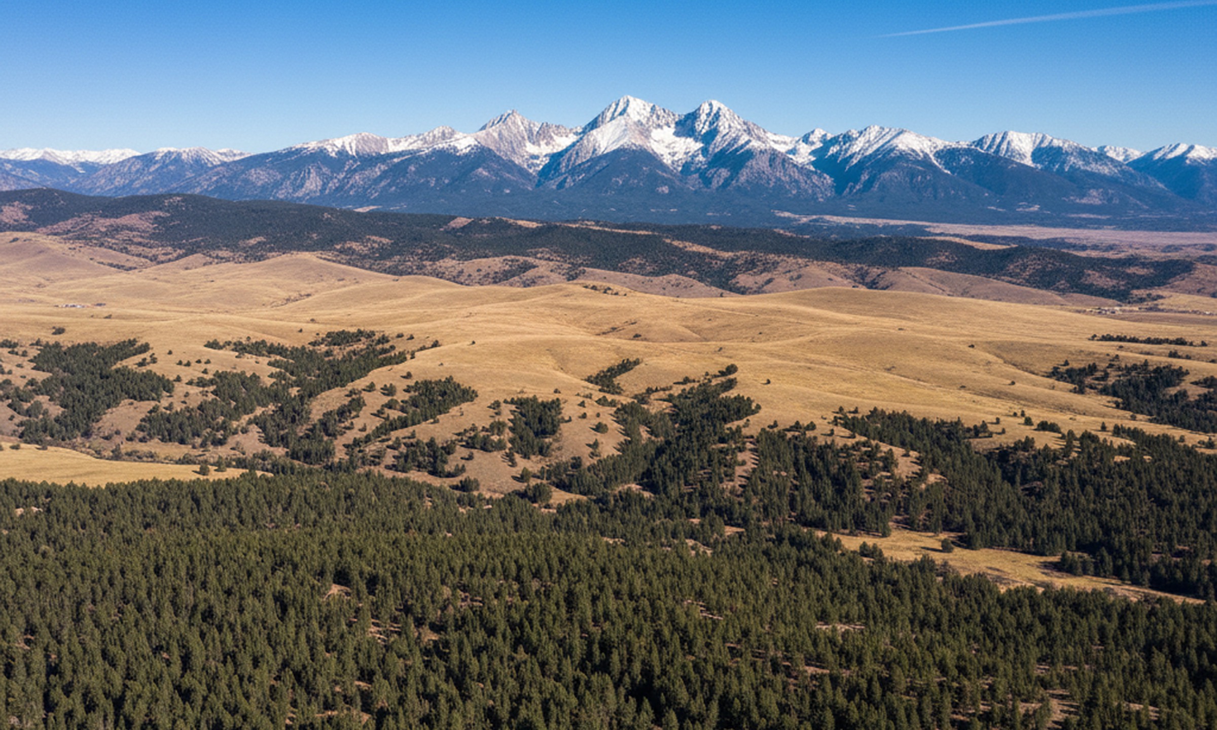 Snow-capped Colorado mountains rising above rolling grassland and pine forest